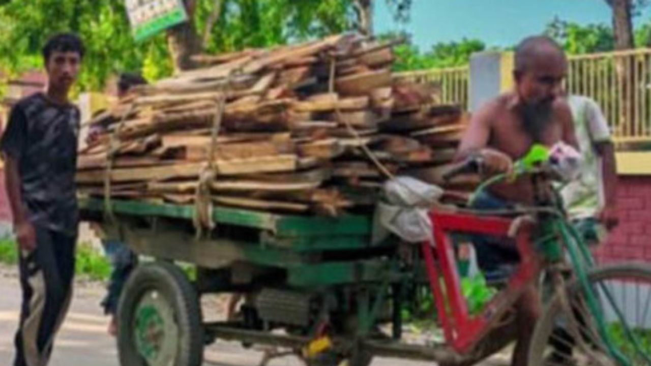 শেরপুরে কাঠবোঝাই ভ্যান উল্টে দাদা-নাতির মৃত্যু